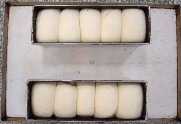 白吐司NA010000+烤模+冷凍麵團