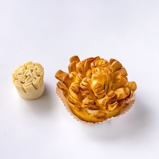 NA040060-01