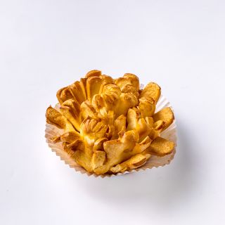 NA040060-03