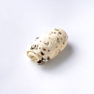 NA100010-02